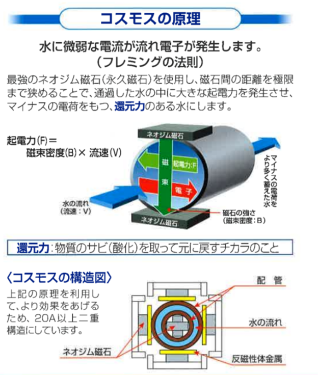 コスモスの原理